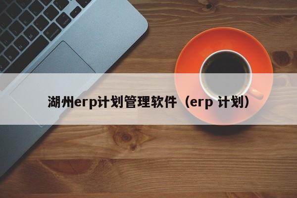 湖州erp计划管理软件（erp 计划）