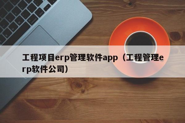 工程项目erp管理软件app（工程管理erp软件公司）