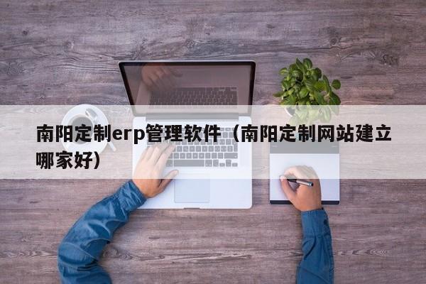 南阳定制erp管理软件（南阳定制网站建立哪家好）