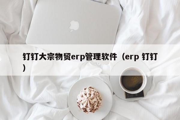 钉钉大宗物贸erp管理软件（erp 钉钉）