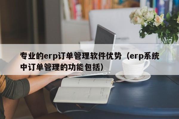 专业的erp订单管理软件优势（erp系统中订单管理的功能包括）