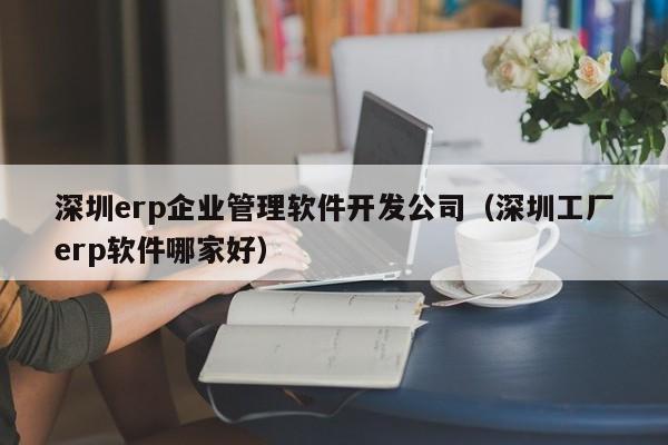 深圳erp企业管理软件开发公司（深圳工厂erp软件哪家好）