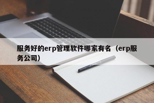 服务好的erp管理软件哪家有名（erp服务公司）