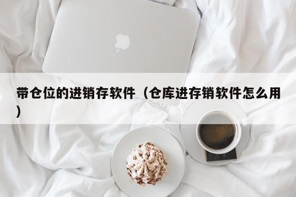 带仓位的进销存软件（仓库进存销软件怎么用）