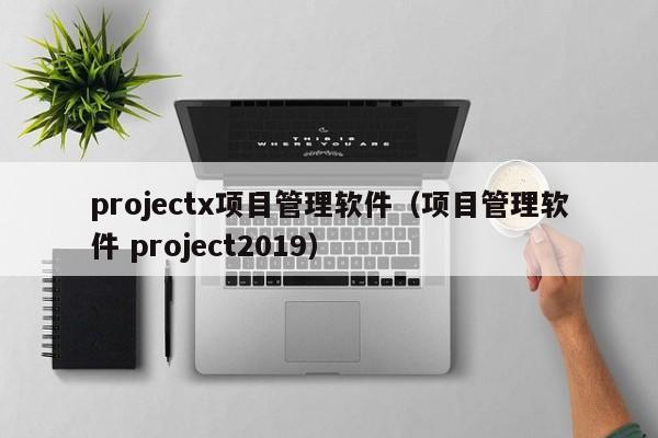 projectx项目管理软件（项目管理软件 project2019）