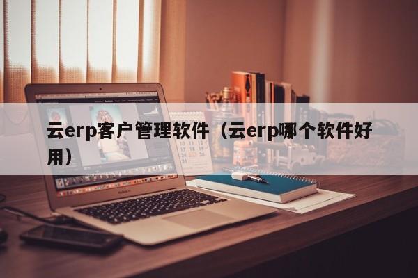 云erp客户管理软件（云erp哪个软件好用）