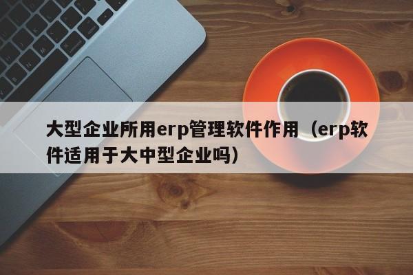 大型企业所用erp管理软件作用（erp软件适用于大中型企业吗）