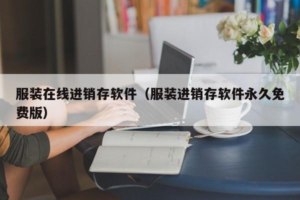 服装在线进销存软件（服装进销存软件永久免费版）