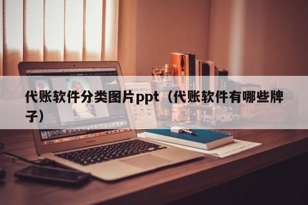 代账软件分类图片ppt（代账软件有哪些牌子）