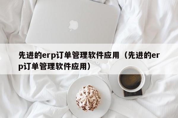 先进的erp订单管理软件应用（先进的erp订单管理软件应用）