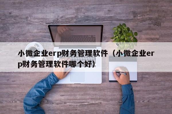 小微企业erp财务管理软件（小微企业erp财务管理软件哪个好）