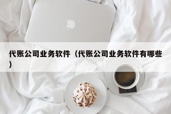 代账公司业务软件（代账公司业务软件有哪些）