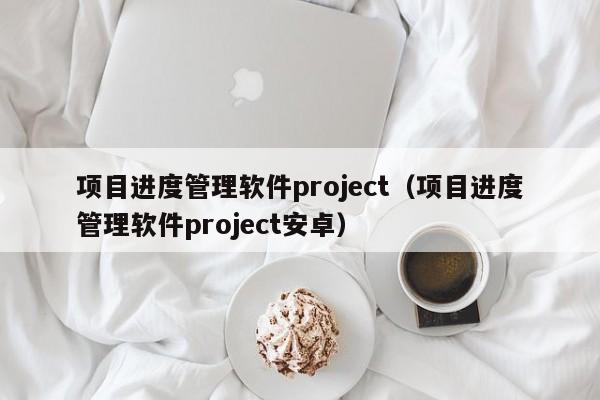 项目进度管理软件project（项目进度管理软件project安卓）