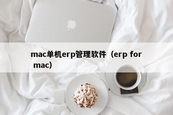 mac单机erp管理软件（erp for mac）