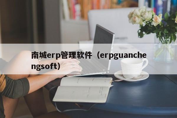 南城erp管理软件（erpguanchengsoft）