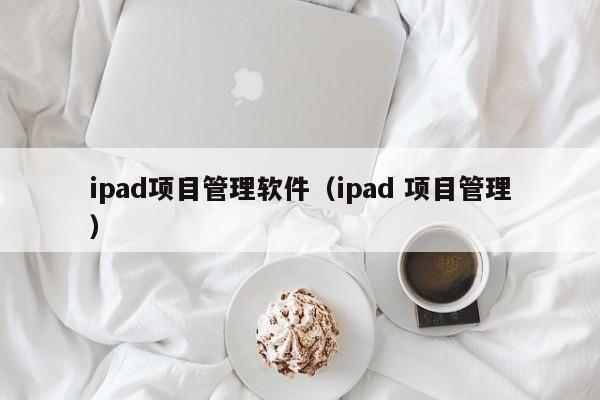 ipad项目管理软件（ipad 项目管理）