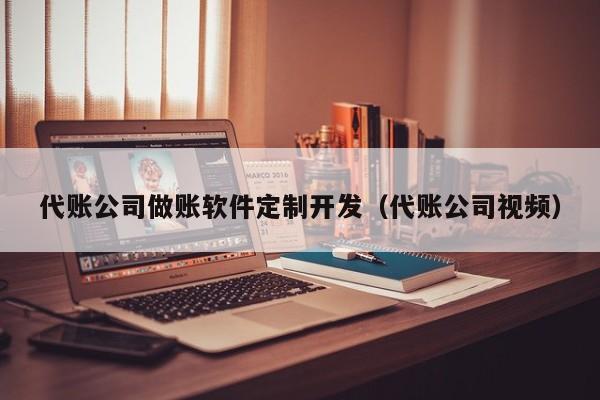 代账公司做账软件定制开发（代账公司视频）