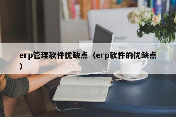 erp管理软件优缺点（erp软件的优缺点）