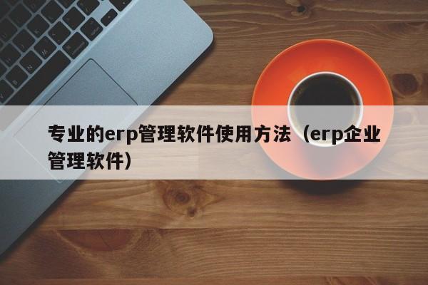 专业的erp管理软件使用方法（erp企业管理软件）