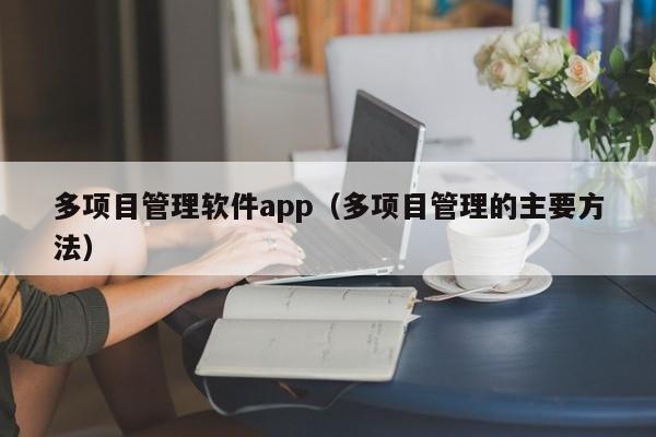 多项目管理软件app（多项目管理的主要方法）