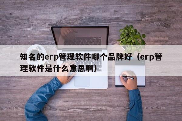 知名的erp管理软件哪个品牌好（erp管理软件是什么意思啊）