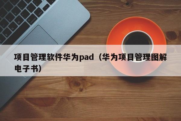 项目管理软件华为pad（华为项目管理图解电子书）