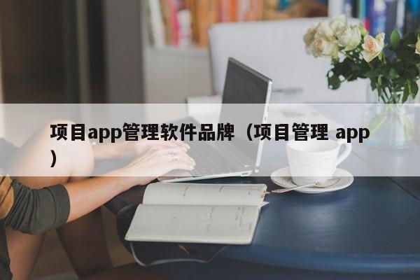 项目app管理软件品牌（项目管理 app）