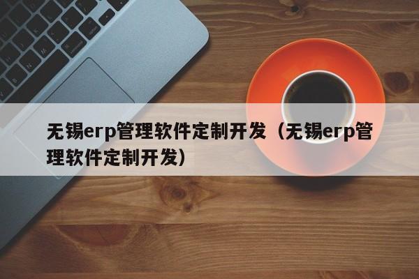 无锡erp管理软件定制开发（无锡erp管理软件定制开发）