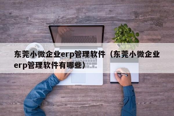 东莞小微企业erp管理软件（东莞小微企业erp管理软件有哪些）