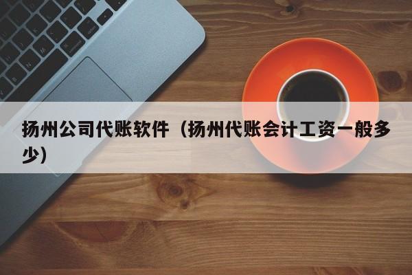 扬州公司代账软件（扬州代账会计工资一般多少）