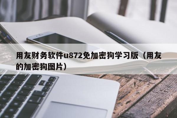 用友财务软件u872免加密狗学习版（用友的加密狗图片）