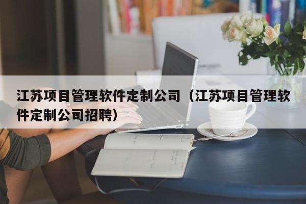 江苏项目管理软件定制公司（江苏项目管理软件定制公司招聘）