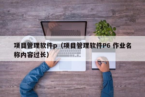 项目管理软件p（项目管理软件P6 作业名称内容过长）