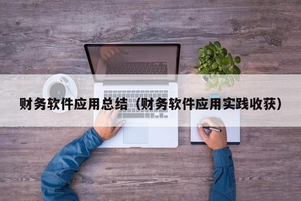 财务软件应用总结（财务软件应用实践收获）