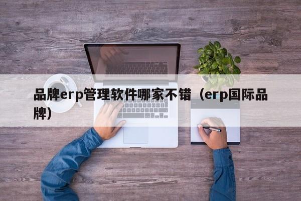 品牌erp管理软件哪家不错（erp国际品牌）