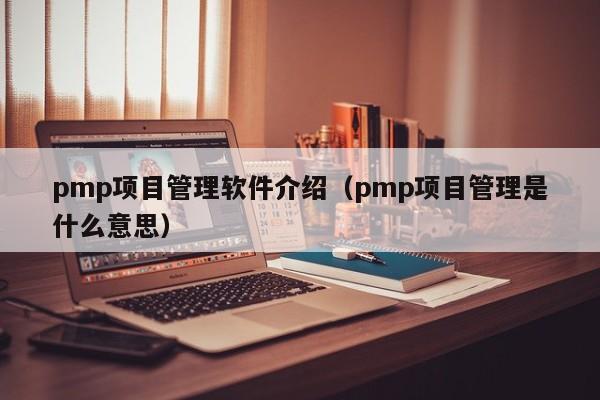 pmp项目管理软件介绍（pmp项目管理是什么意思）