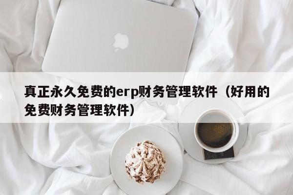 真正永久免费的erp财务管理软件（好用的免费财务管理软件）