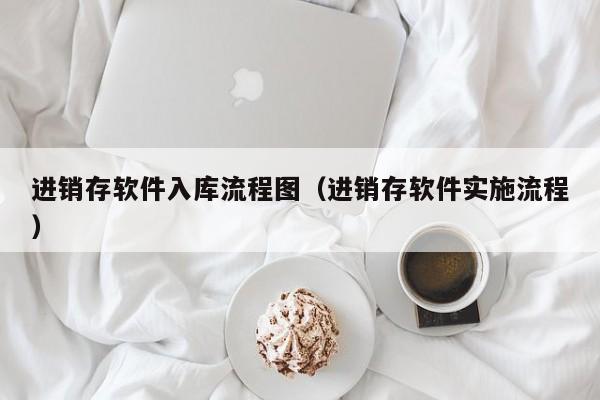 进销存软件入库流程图（进销存软件实施流程）