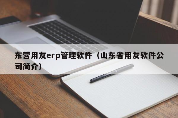 东营用友erp管理软件（山东省用友软件公司简介）