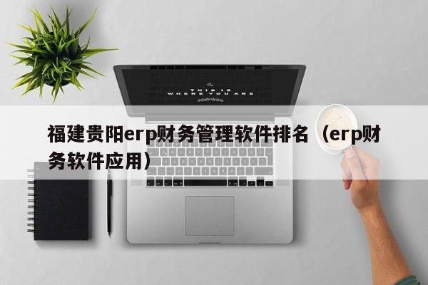 福建贵阳erp财务管理软件排名（erp财务软件应用）