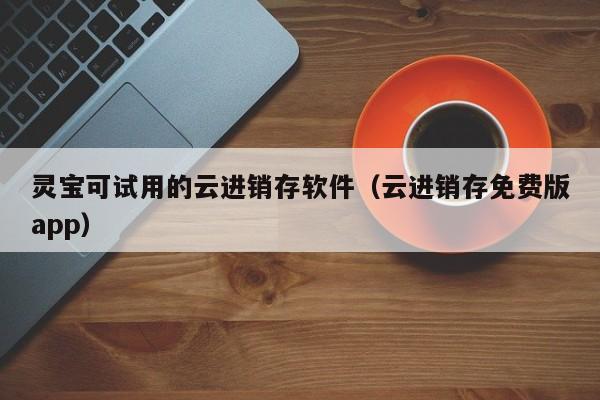 灵宝可试用的云进销存软件（云进销存免费版app）