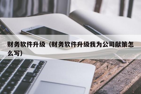 财务软件升级（财务软件升级我为公司献策怎么写）