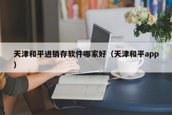 天津和平进销存软件哪家好（天津和平app）