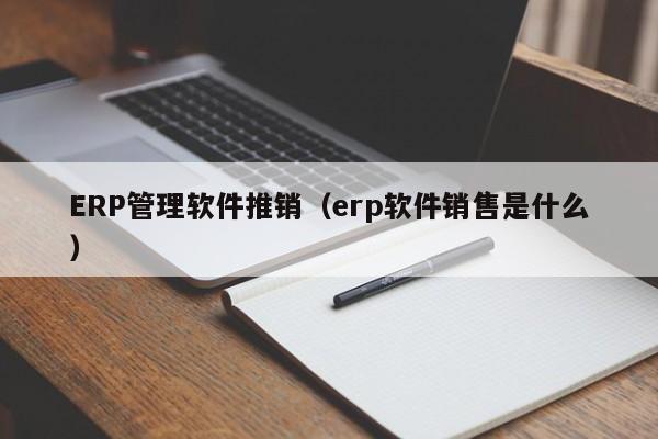 ERP管理软件推销（erp软件销售是什么）