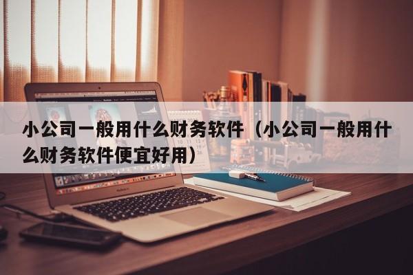 小公司一般用什么财务软件（小公司一般用什么财务软件便宜好用）