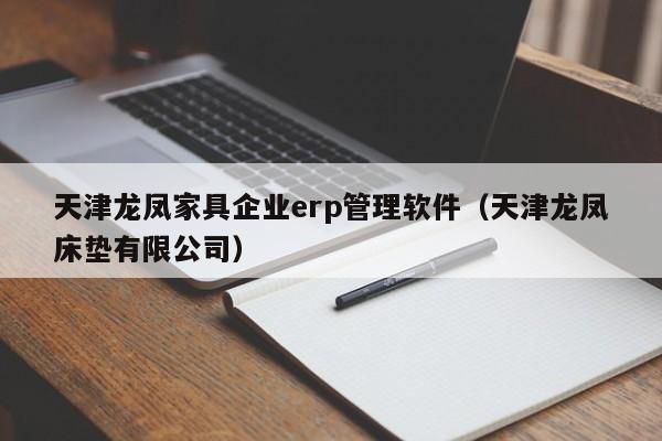 天津龙凤家具企业erp管理软件（天津龙凤床垫有限公司）