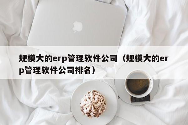 规模大的erp管理软件公司（规模大的erp管理软件公司排名）