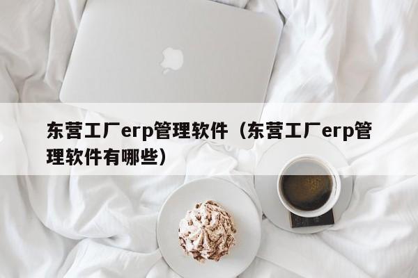 东营工厂erp管理软件（东营工厂erp管理软件有哪些）