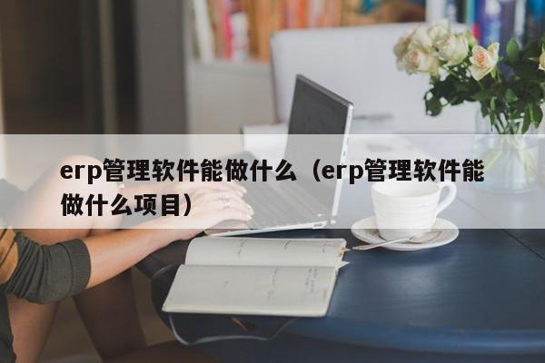 erp管理软件能做什么（erp管理软件能做什么项目）