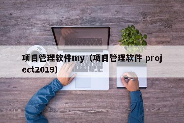 项目管理软件my（项目管理软件 project2019）